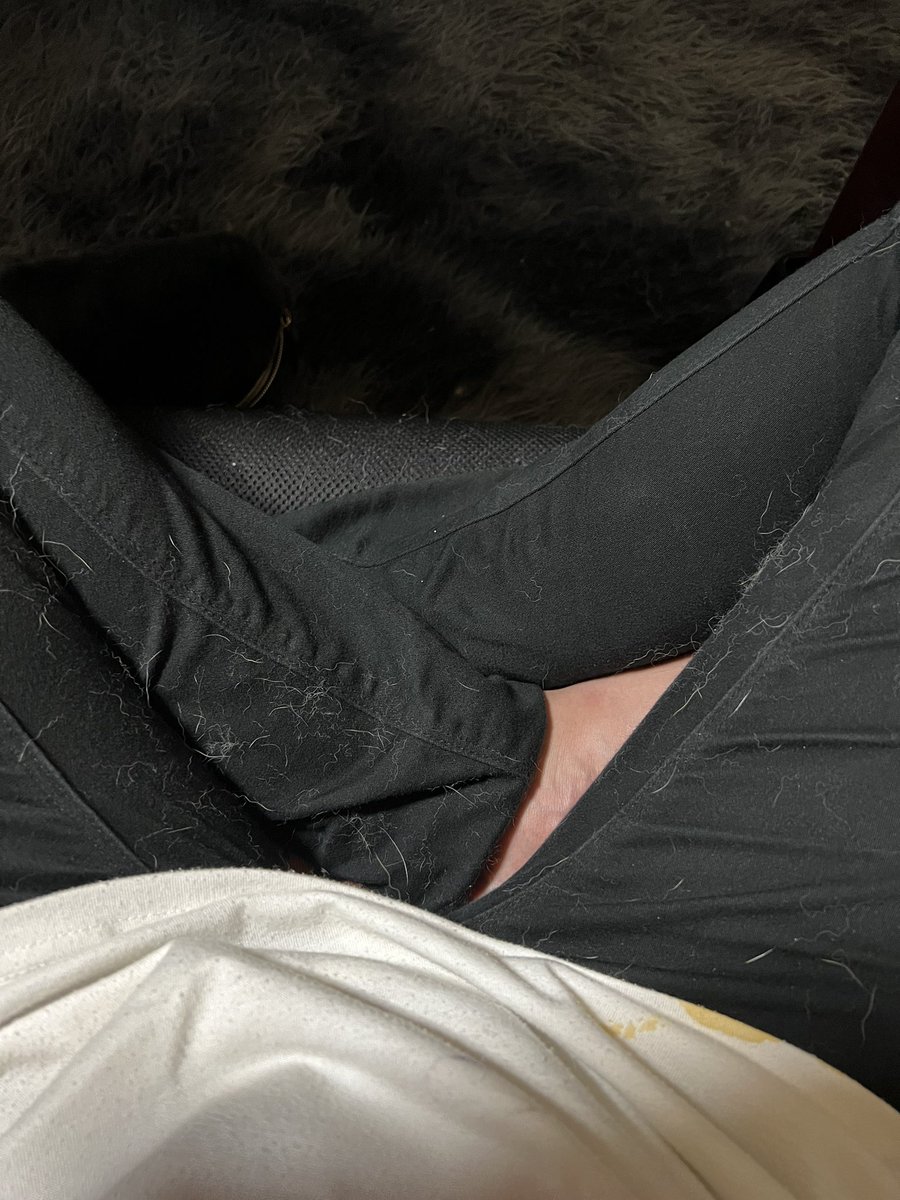 ARASHIANS_ayu's tweet image. おねぇね〜って甘えてくる、どちゃくそ可愛いハクトと、ゾンビごっこして遊んだら勲章が出来たwww

腕に引っかき傷と黒のスキニーに換毛期の毛がどっさりとwww

昨日から始めたゾンビごっこが楽しいみたいで、遊ぼうよ！って誘ってくるw

 #柴犬ハクト 
 #ゾンビごっこ 
 #柴犬のいる暮らし 
 #楽しい