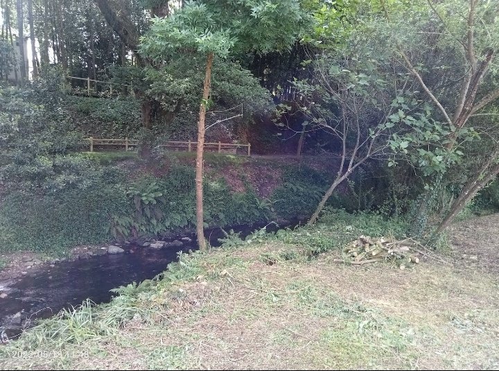 GFAugasGalicia's tweet image. Un, é o responsable da conservación da vida silvestre e do aporte do 75% da auga do planeta. A súa representación acada o 85% do territorio, como centinela dun sistema que conecta ríos e océanos. O outro, unha paisaxe imaxinaria.
Bo finde!!