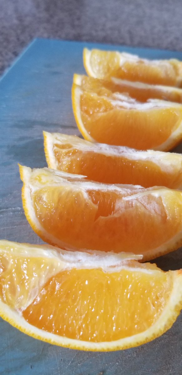 Edible Grasshopper tweet media