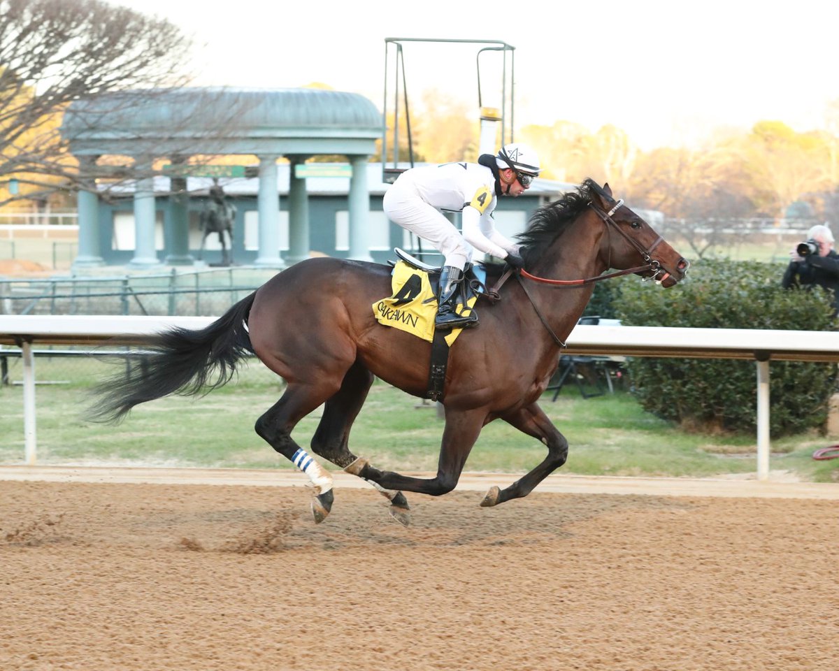 sentientjet's tweet image. Best of luck to Sentient Jet Brand Ambassador @bflay as he cheers on his horse, &quot;We the People,&quot; in today&apos;s 154th @BelmontStakes. Photo Credit 📷: @coadyphoto #SentientJet