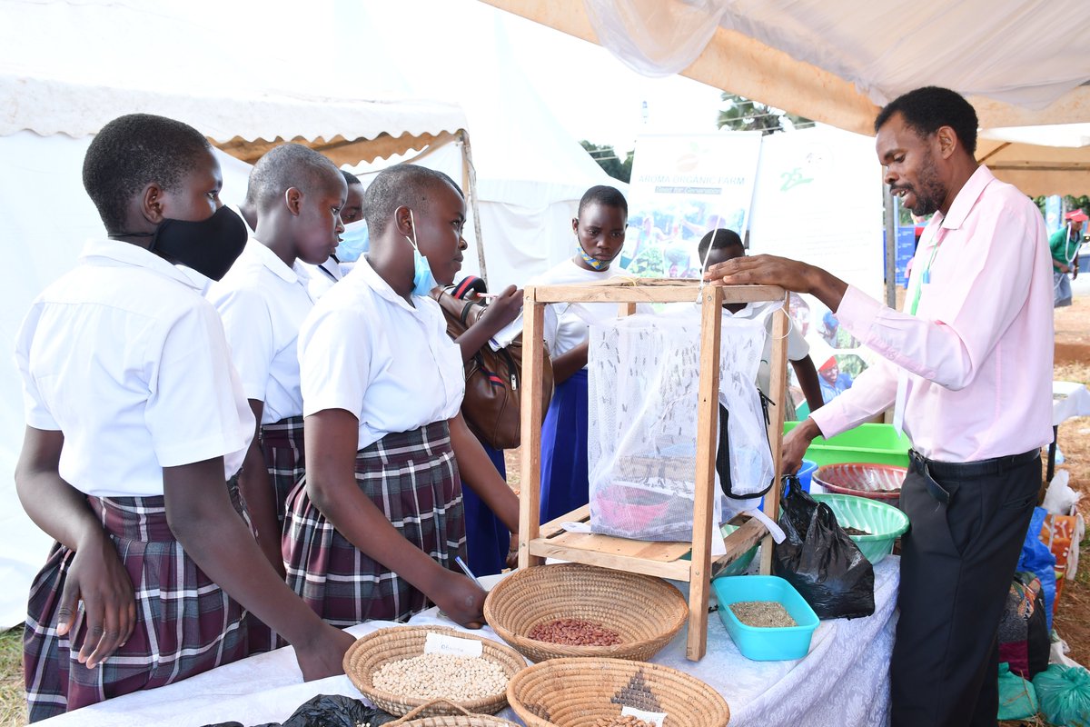 NrmYouthleague's tweet photo. Innovation in agriculture is always important for the youth, if you're looking at agriculture as a single income stream, you will collapse. You need to diversify and do more #AgricEducShow2022 https://t.co/c2Tddyskmf