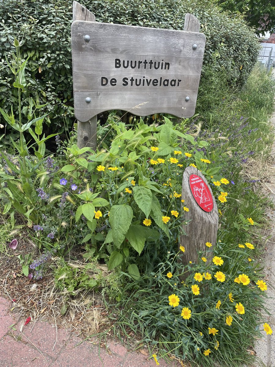 Buurttuin Delfgauw tweet media