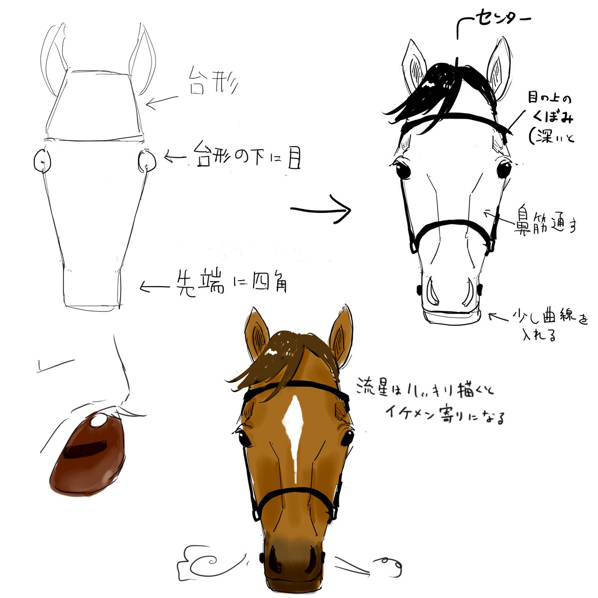 個人的なお馬さんのかんたん正面顔の描き方のコツ 