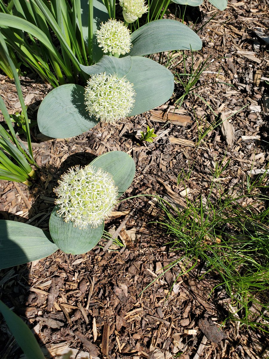 Christine Fulkerth tweet media