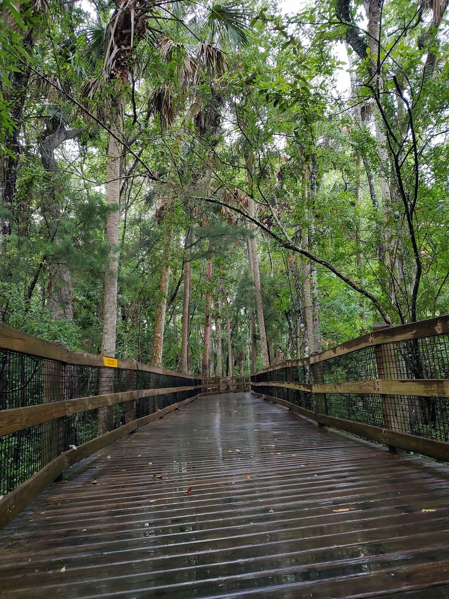 iTeachPonies's tweet photo. Rain or shine, Homosassa Springs State Park is a must see. We loved it here. ❤️ @WorldStrides https://t.co/Ef75eW0DSz