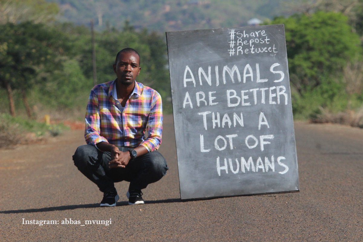 angie_karan's tweet photo. That is so true!! 
Animals have the most purest souls!! 🐾💚 https://t.co/SGWPMARdXb