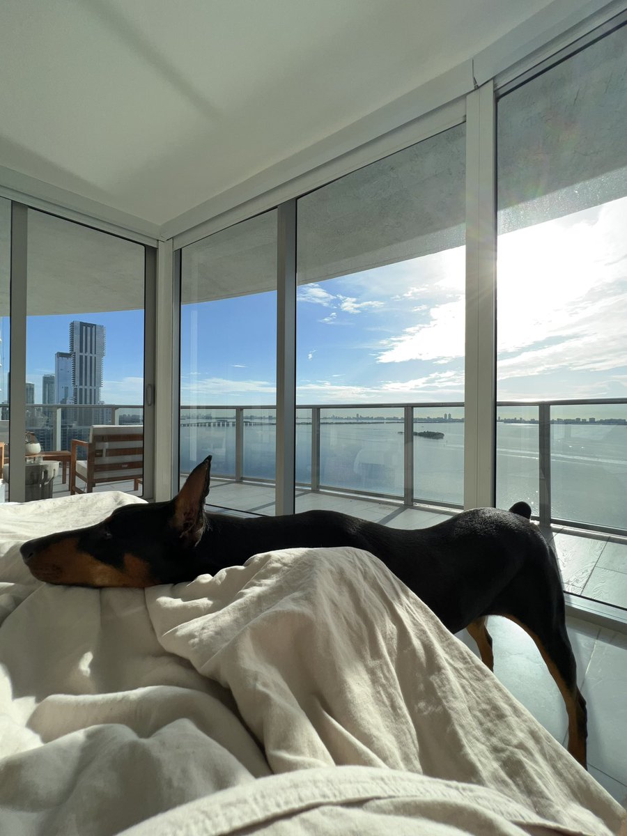 Property_Papi_'s tweet image. GM - we’re not getting out of bed until ETH goes up