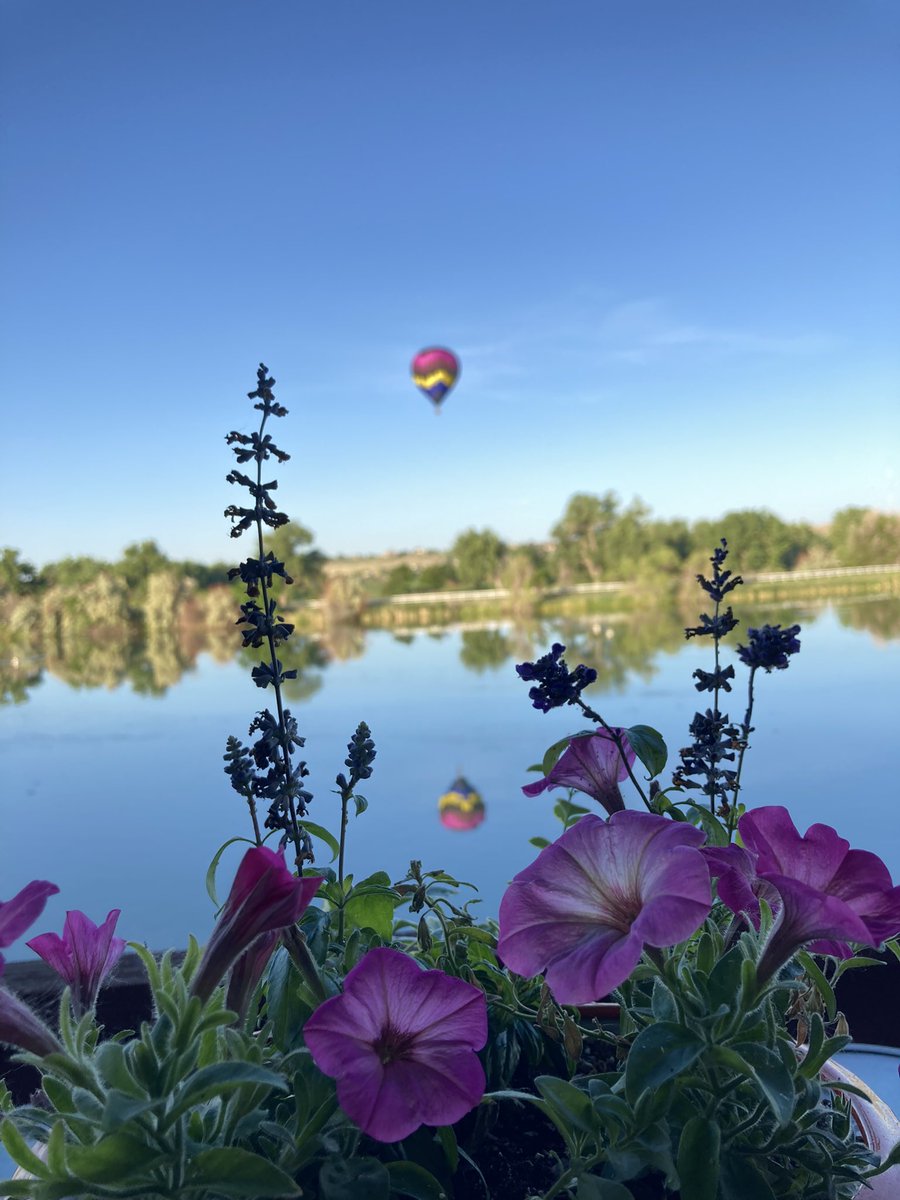 Water Valley this morning. #NoCo