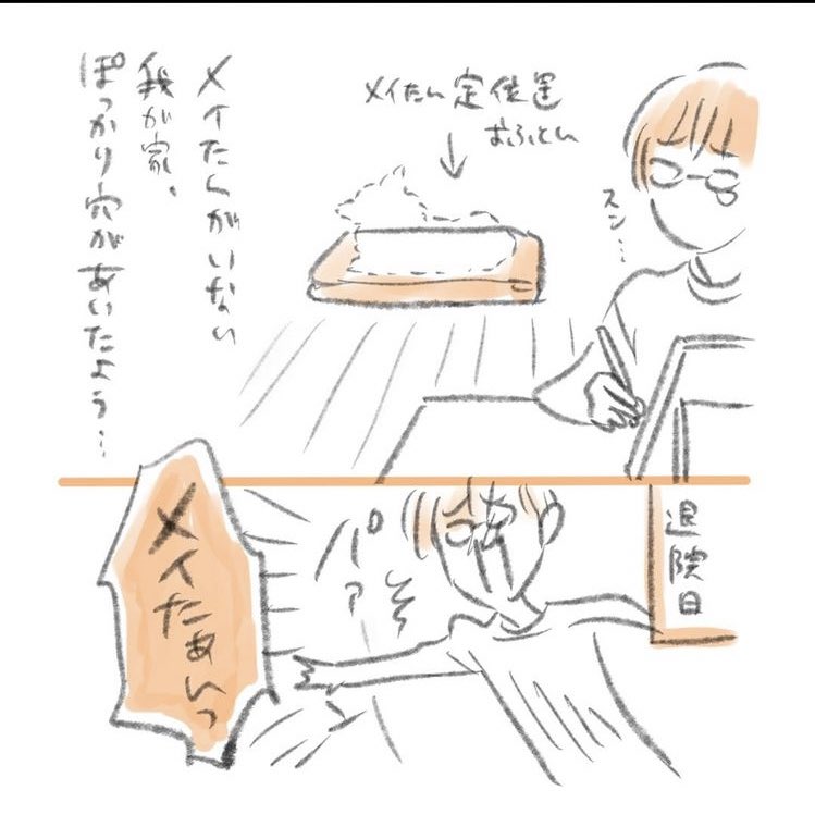 メイたんはじめての入院、手術。
迎えに行ったときの反応がおもてたんと違った… 