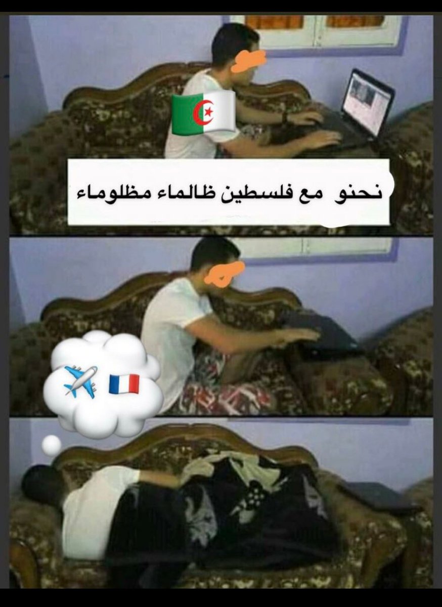 صقر العولقي (@saqer955) on Twitter photo 