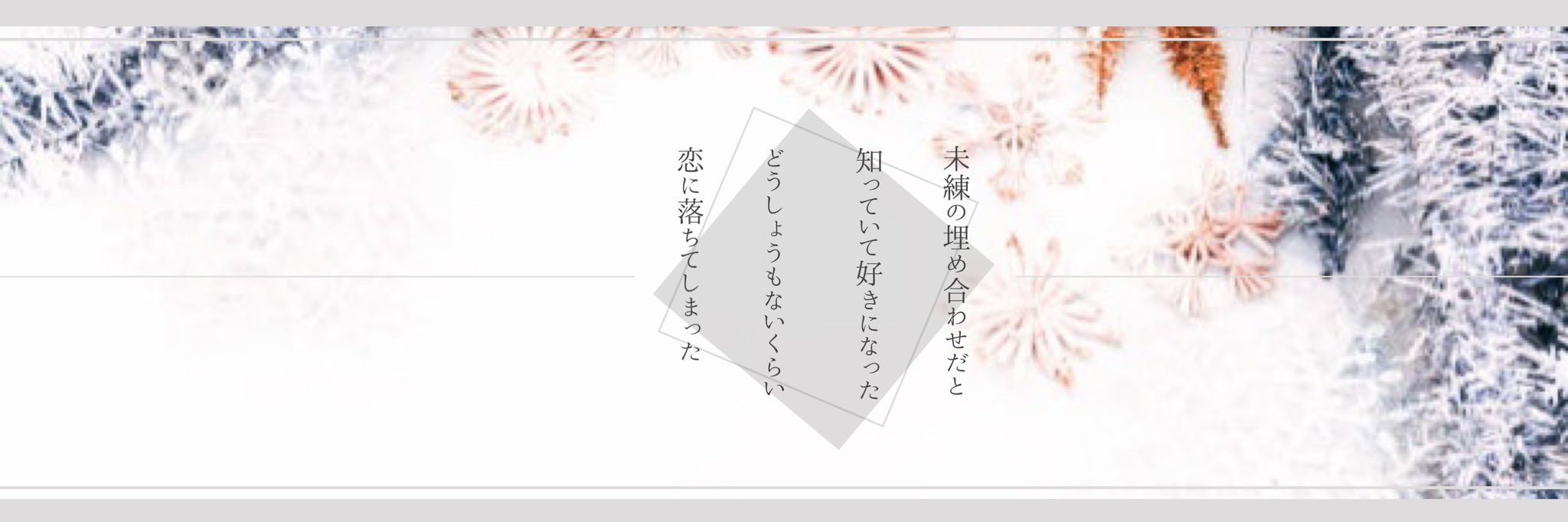 十 Plusa Twitter