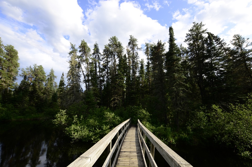 Take a break and go outside! 🌲

Time in nature can help reduce stress levels and increase job satisfaction. #HPHP