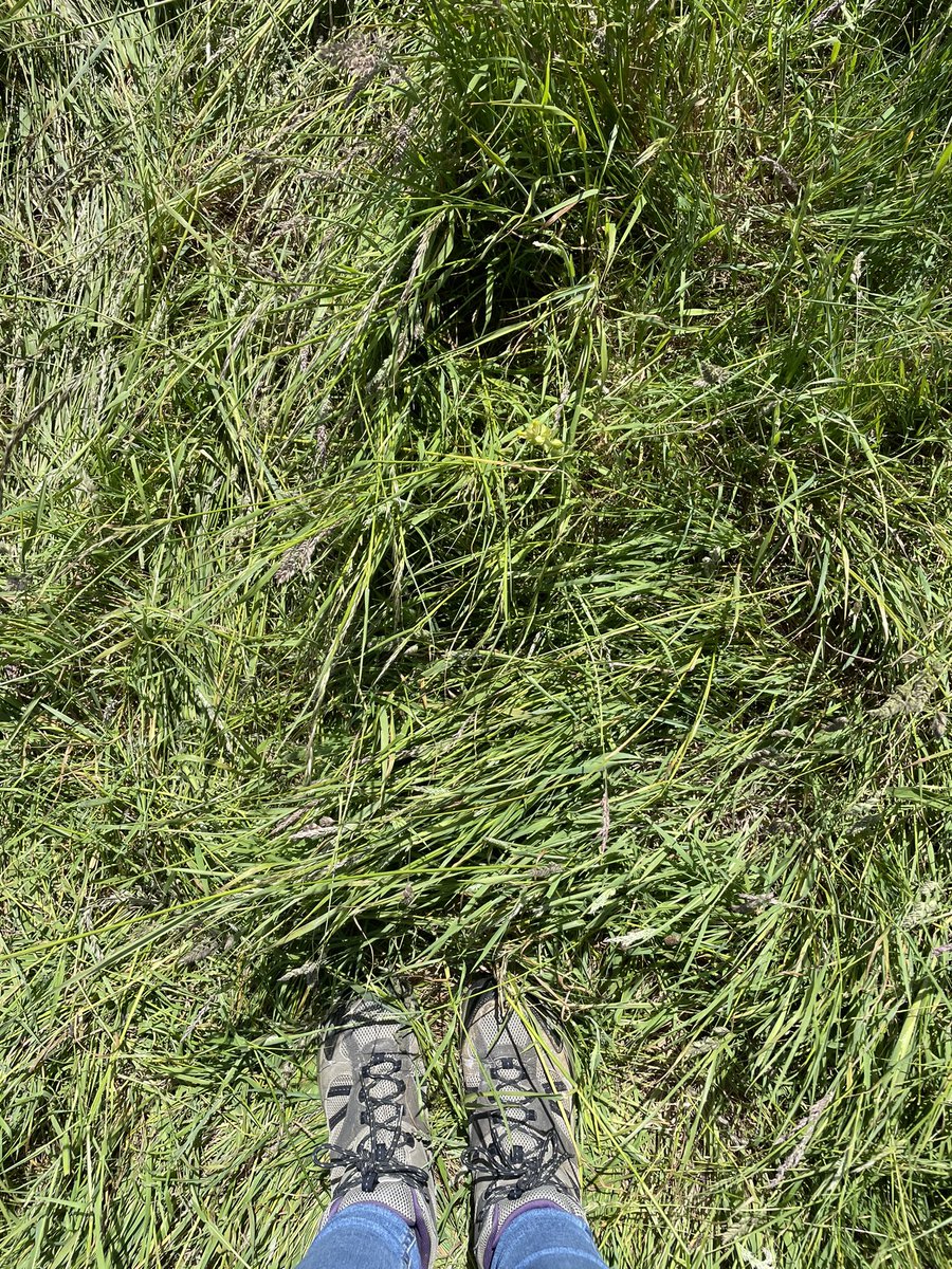 First ‘Keeping in touch’ day back <a href="/ActivatePArts/">Activate</a> and the walking boots are on. #OutdoorArts