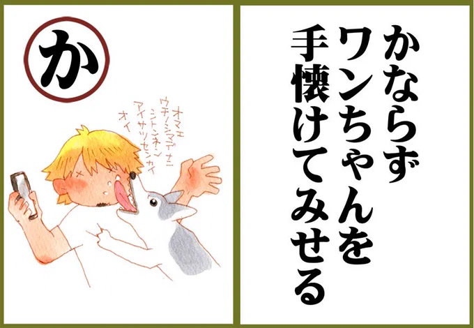 ワンちゃんかわいい!!①😆 #TAMURA兼平のヨーロッパ遠征かるた https://t.co/OVZxxMP2If 