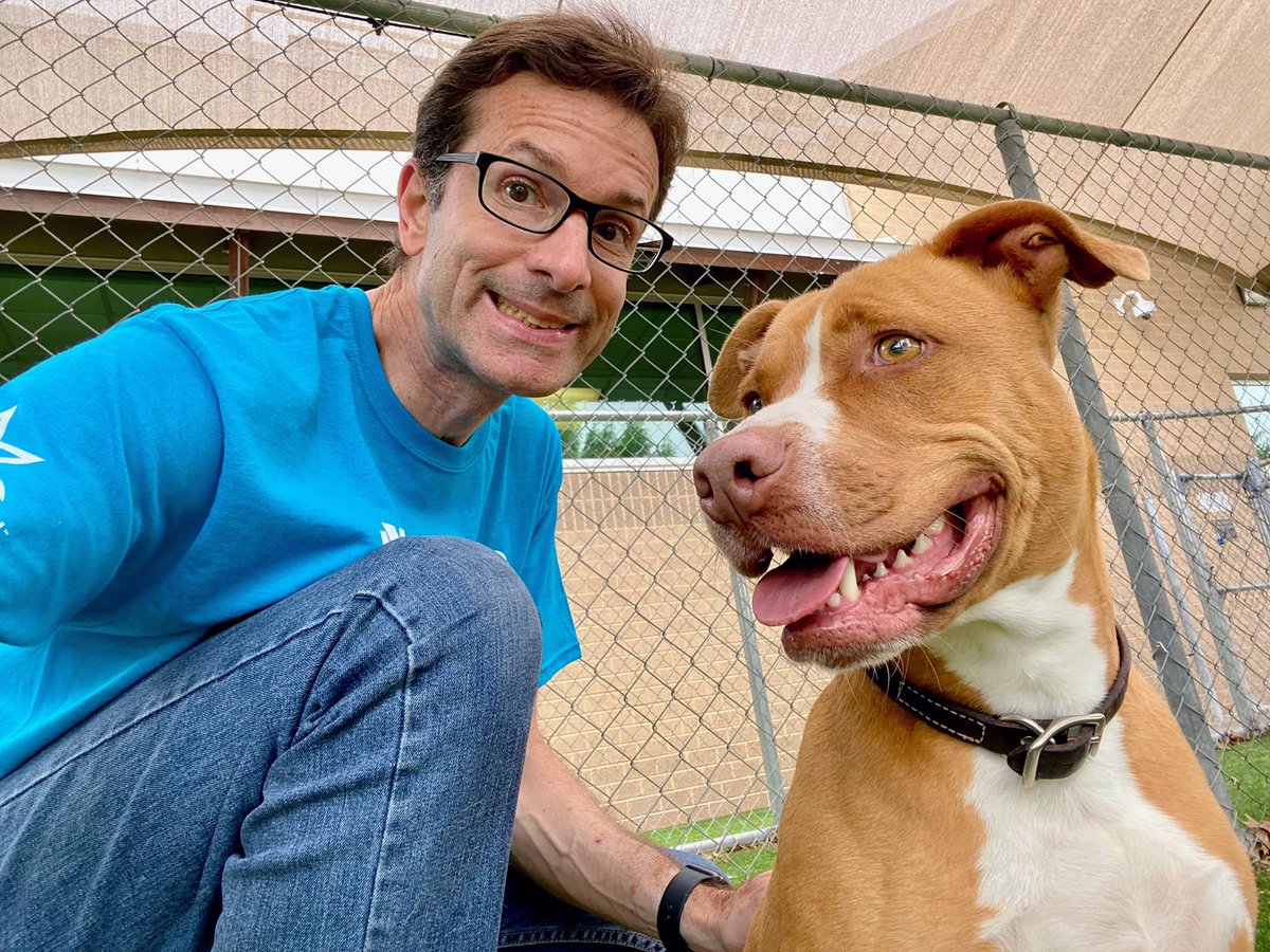 Mark Schnyder (@markschnyder) on Twitter photo Woo hoo! Four of my favorites (and there are many more favorites) got adopted from <a href="/CityArlington/">City of Arlington, Texas- Animal Services</a> Friday! Rugger, Rupert, Hogan and Adele have emBARKed on their new, happy lives! #RescueDogs Woo hoo! Four of my favorites (and there are many more favorites) got adopted from <a href="/CityArlington/">City of Arlington, Texas- Animal Services</a> Friday! Rugger, Rupert, Hogan and Adele have emBARKed on their new, happy lives! #RescueDogs