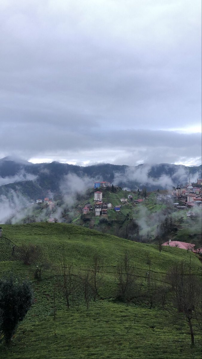 arielzacreator's tweet photo. good morning #poss , since travelling is my top passion , i'm sharing with u some some of my lovely moments , i felt like i'm on the top of the world here, also feel free to share ur travelling pictures with me i'd love to see them , #posssstravel https://t.co/2FRUqFg3GI