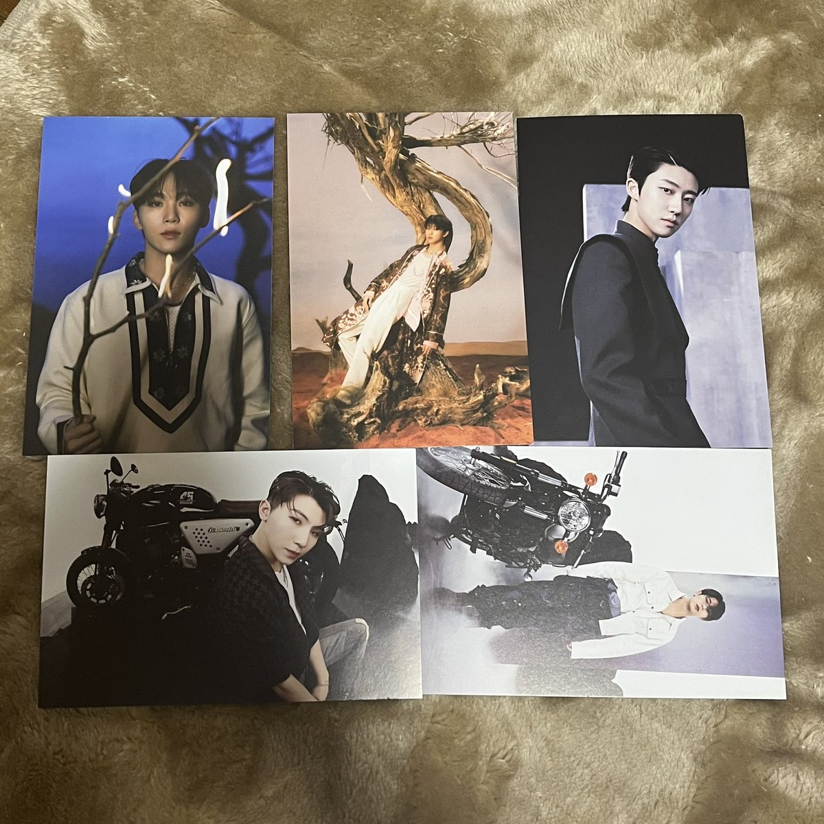 jisoo_ev's tweet photo. 🍒SEVENTEEN アルバム Face the sun トレカ ポストカード 交換

【譲】エスクプス (スンチョル) ジョンハン ジュン ウジ ディエイト (ミンハオ) ミンギュ スングァン バーノン ディノ

【求】ジョシュア(同種異種問いません)

郵送での発送希望です
お気軽にお声掛けください🙇🏻‍♂️ https://t.co/O66FK05Dq6