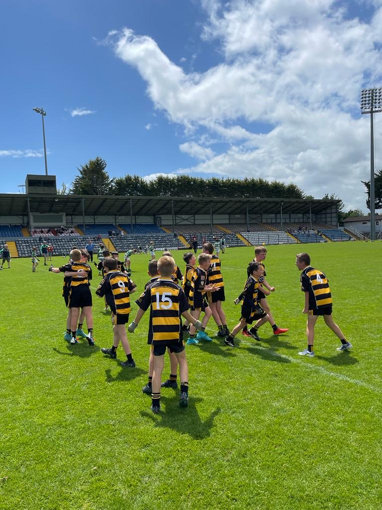 ⁦<a href="/GlenvilleGAA/">Glenville GAA Club</a>⁩ into the final
