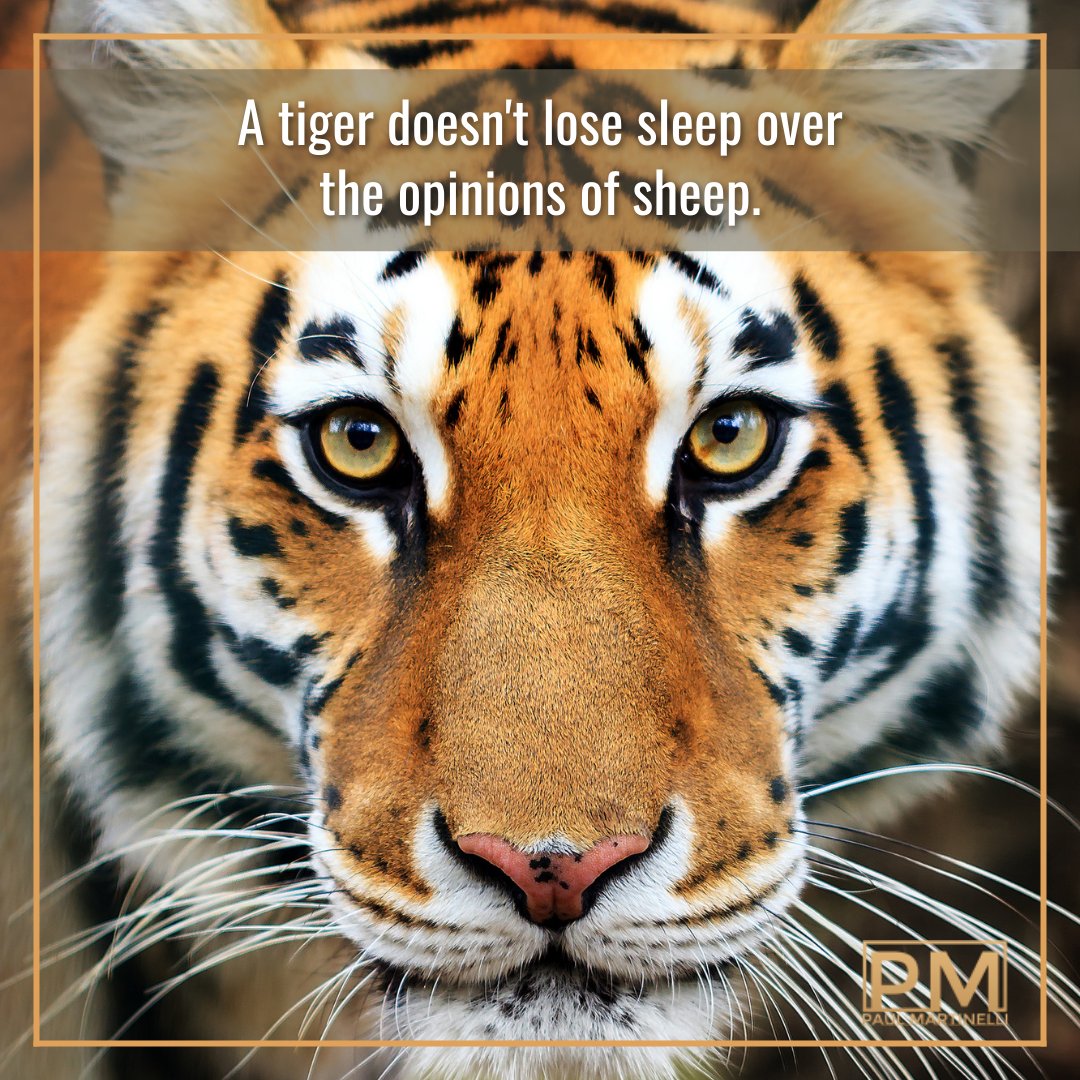 Coachthom1's tweet photo. Tigers https://t.co/i8gpirLc4m