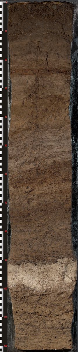 stephanmantel's tweet photo. On-site inspection of one of the highlights of the @worldsoilmuseum; the Icelandic soil from Möđruvellir.
https://t.co/YEaQhGEUBj
I am pointing at the ash layer of the Hekla volcano 🌋 eruption from appr 3000 yrs ago.
Site #15. @2015Wrb #Iceland 🇮🇸
#soilclassification tour https://t.co/epVNKrn3IJ