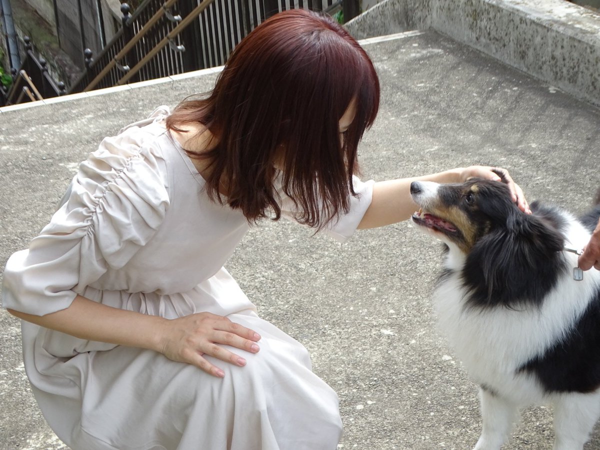 310noDaichang's tweet photo. 2022.06.01
「一ノ瀬彩 Birthday撮影会」
at白山神社
#一ノ瀬彩 #リスメロ #RiskyMelody #FTCProject #AYAふぉと https://t.co/iSFckYmDhN