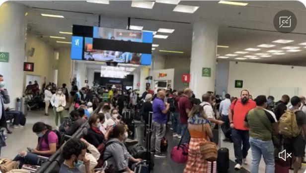 Denise Dresser tweet media