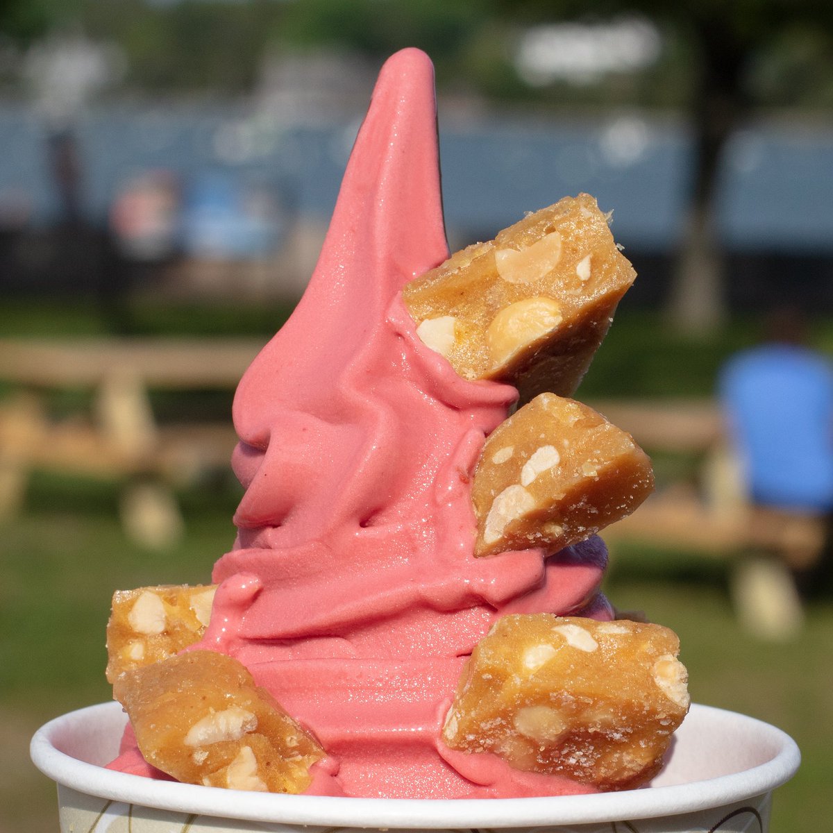 BeachHouse02043's tweet photo. Prettiest ice cream award goes to this raspberry sorbet, which also gets extra points for being vegan 💓 The sorbet is topped with our butter crunch that just so happens to pair with the raspberry perfectly ☺️#hinghamharbor #vegan https://t.co/cHXrMcrfl6