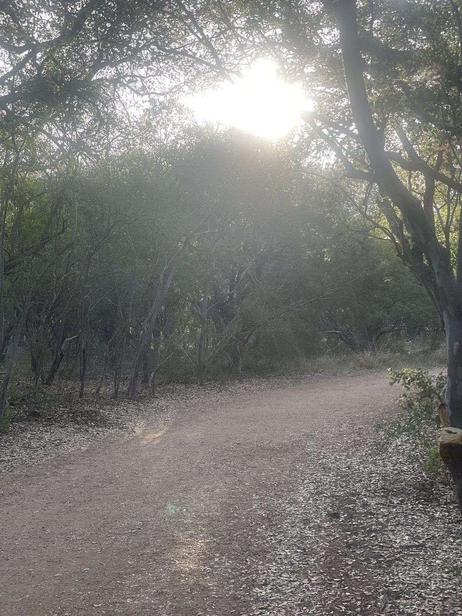 bloomer_sa's tweet photo. Day 15! #runrant ! I almost convinced myself it felt good out here this morning. Maybe that was the morale of my run? With proper preparation & determination you can do anything you out your mind to. https://t.co/Ak4ItzCZ3f