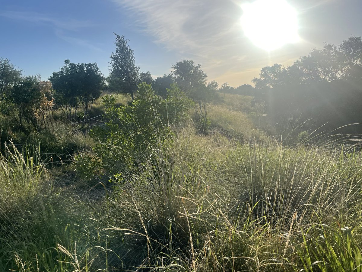bloomer_sa's tweet photo. Day 15! #runrant ! I almost convinced myself it felt good out here this morning. Maybe that was the morale of my run? With proper preparation & determination you can do anything you out your mind to. https://t.co/Ak4ItzCZ3f