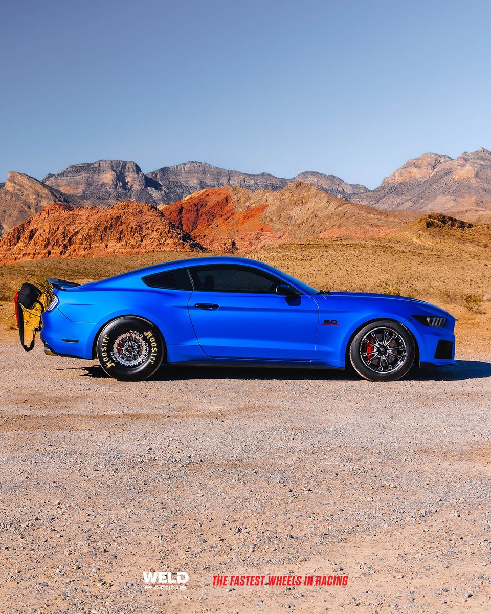 WeldRacing's tweet photo. Best Muscle Car you can buy today? 🤔

Ford Mustang on WELD V-Series fronts and Vitesse Beadlocks. 

.
.
> To get your set, visit: 
>> https://t.co/D7ZnSxkTfj
>> https://t.co/EtNdiaDZqO 
.
________________________________________
#WELDRacing I #WELDWheels I #RunWELD I #DragWELD https://t.co/WrIg3ZauKj