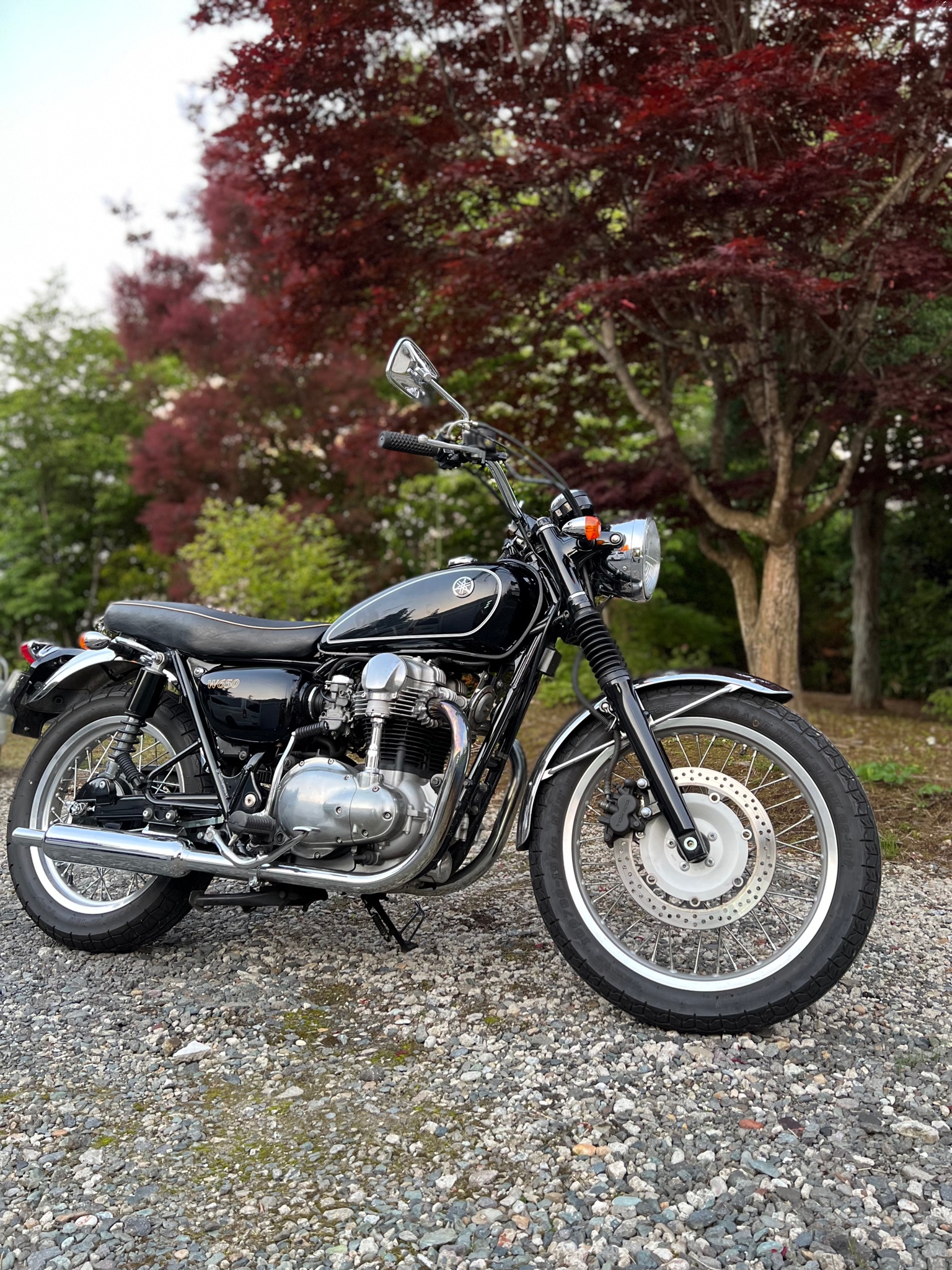 w650 タンク 渦 w650 タンク 渦