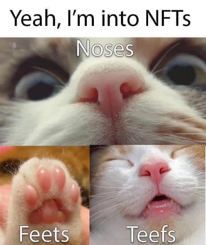 Web3ify_'s tweet photo. 😂😂😂
#NFTCommunity #NFTMarketplace #NFTartist #NFTCollection #NFTWomenUNITE #NFTWhitelist #NFTGame #NFTs #NFTinvestor #NFTMint #nftmemes #nftmeme https://t.co/pB6KTgna8d