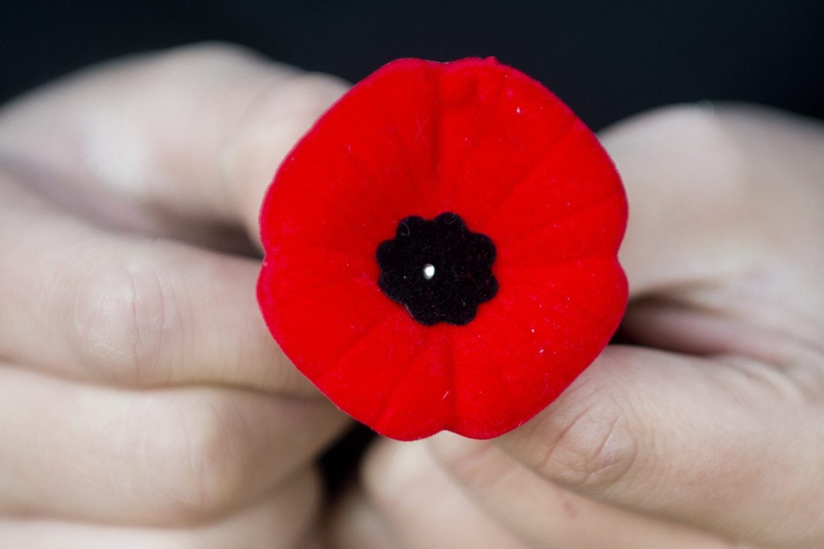 Remembrance Day Мак