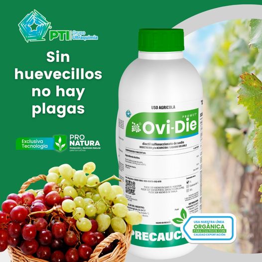 PtiMexico's tweet photo. Sin huevecillos no hay plagas 
Tiene como fin la eliminación de INSECTOS o ÁCAROS que se encuentran dentro del huevo para poder controlar las infestaciones.
 
 Para escribirnos da clic aquí  
https://t.co/klu1CDXZ3Q
https://t.co/vWaNOdzGGx

#PTI #PROWETOVIDIE #plagas https://t.co/0gDsBsNtLe