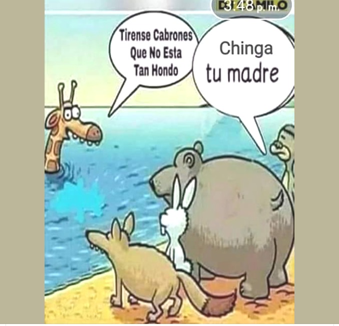 🤣🤣🤣