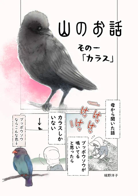 先日アップしたマンガ、微修正再アップと続編です。
山のちょっと不思議な話、カラス編。

#漫画が読めるハッシュタグ
#山のお話 