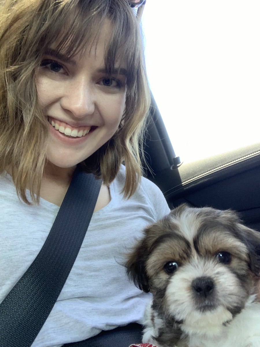 It’s my gotcha day! 2 years with my furever family❤️ 
#shihtzu #gotchaday