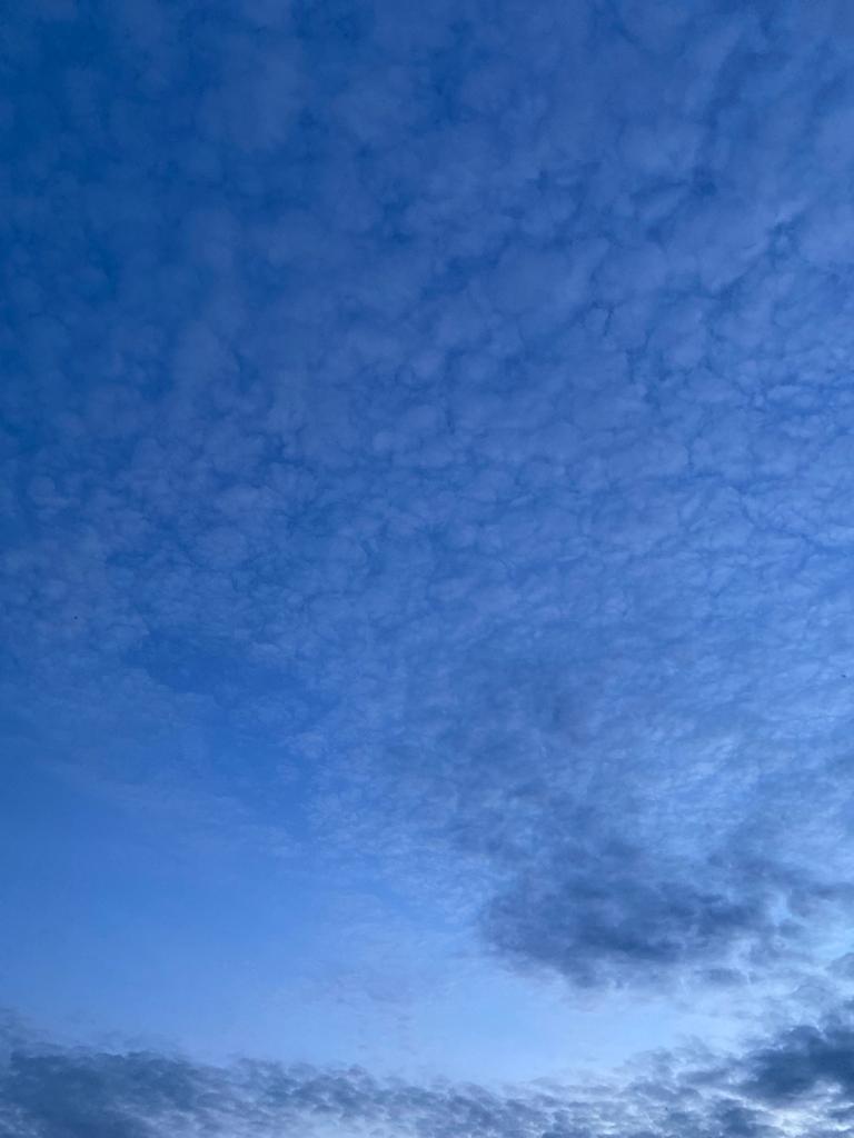 consultayaz's tweet photo. Beauty is not the color, not the shape, nor the size neither the appearance but rather beauty is in the feelings, emotions, and insights.

Clouds today! 

#aiyazuddin #spirituality #beautyquotes #definationoflove #definationofbeauty  #cloudsformation @HiHyderabad #Hyderabad https://t.co/S4vMaeCXUC
