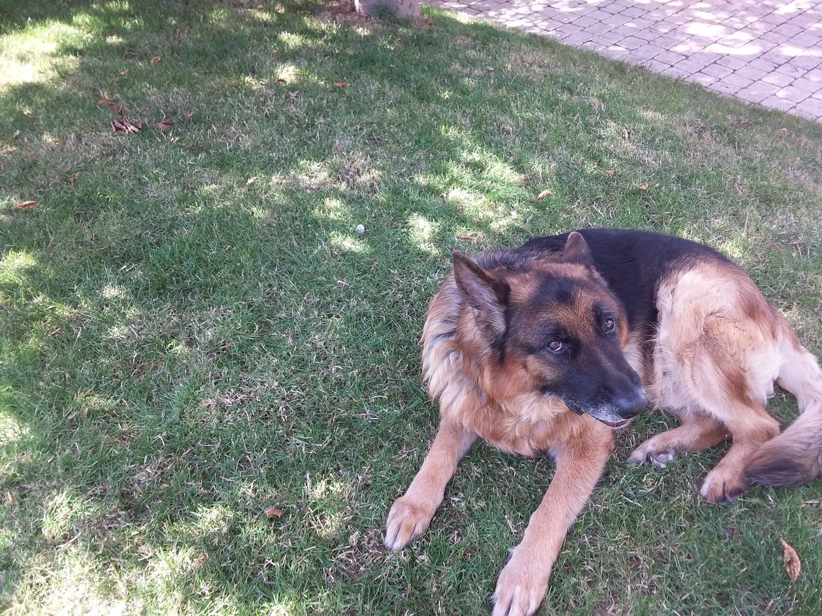 Flipper (@fliper63411443) on Twitter photo 