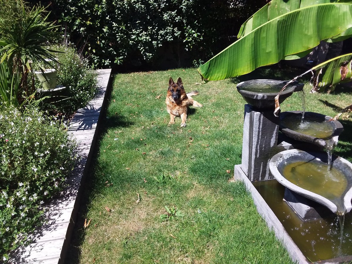 Flipper (@fliper63411443) on Twitter photo 