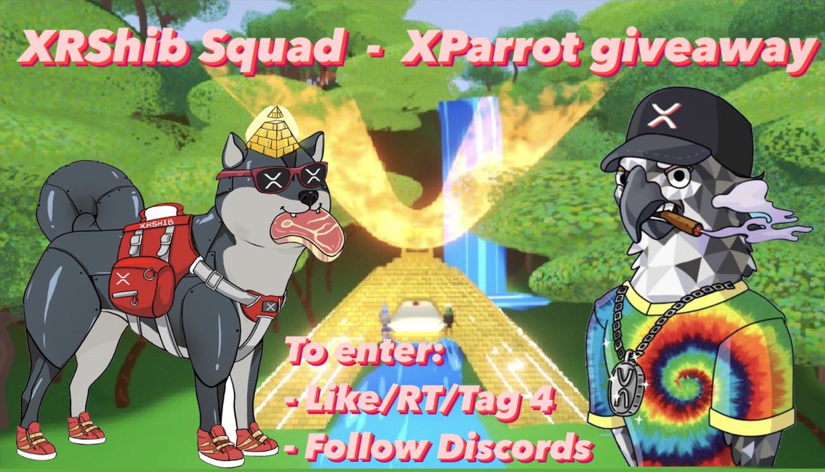 🐕#XRShibSquad x🦜#XParrots Giveaway!

🎁 2 Winners 
1 #XParrot &amp; 100 #XRAIN (XParrot tweet)
.5 #XRShibSquad &amp; 50,000,000 #XRShib (XRShib tweet)

To Enter:
-❤️/RT/Tag 4
-Follow 
<a href="/XRshib/">SHIB · Powered by the XRP Ledger</a> + <a href="/XparrotsNFT/">XParrots / XRPL 🦜</a> 
 -Follow discords 

Ends: 72 Hrs

#NFTs #XRPL #XRPLcommunity #XRPArmy