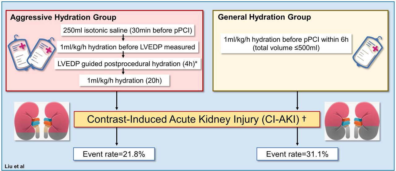 Understanding and preventing contrast-induced acute kidney injury