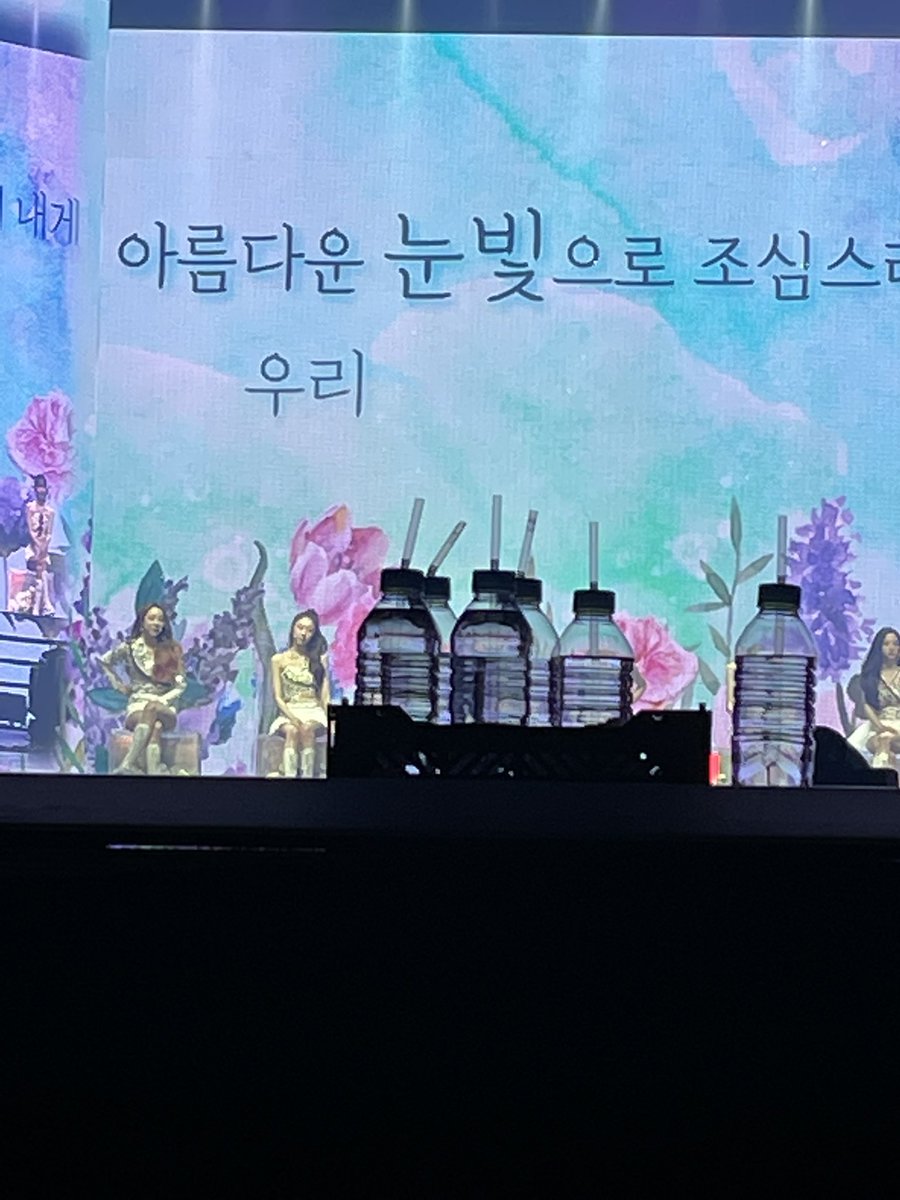 라잇츄🐶 tweet media