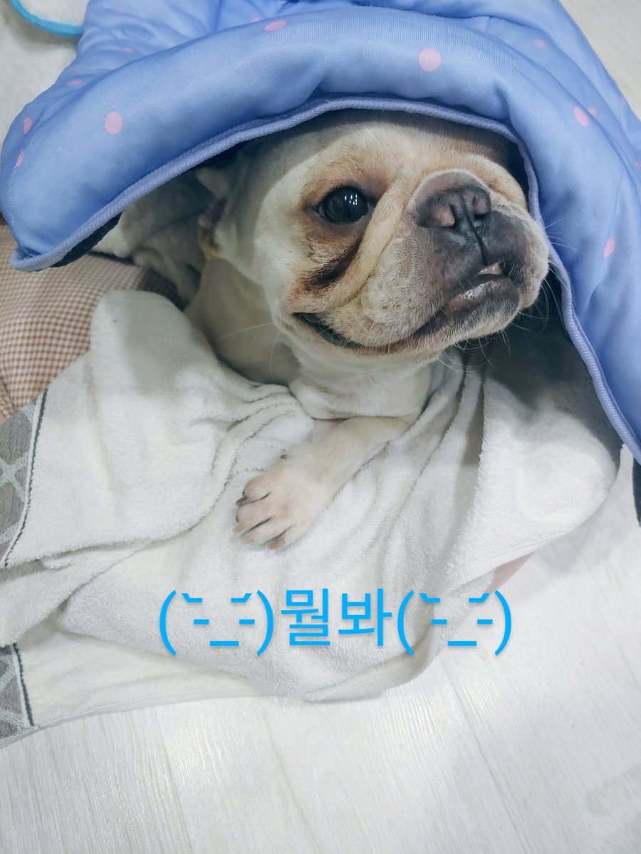 RH_seohyun's tweet photo. 뭘봐ㅋㅋ https://t.co/8tjZeO6gbm