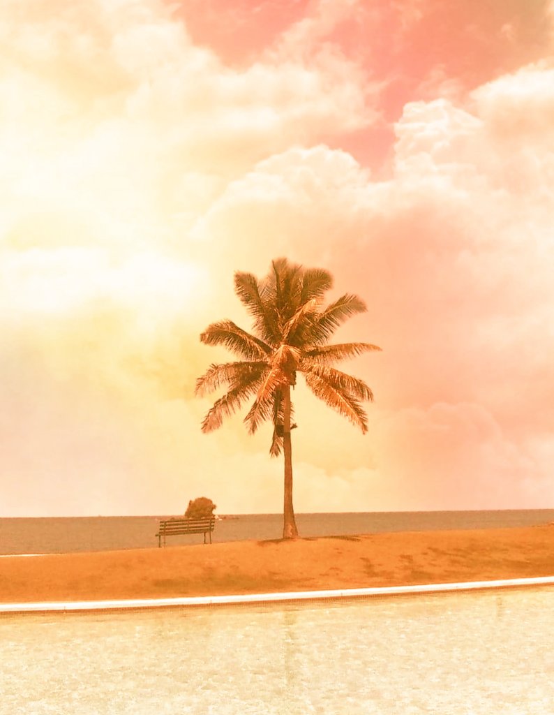 mimiandmimiko's tweet photo. Just feeling like I am in paradise.

#wholoves #beach 🌴
#chillout #relax
#paradise #heaven 
　
#photography
#photoediting
#写真 #海 #ビーチ 🌴

#throwback  
@ #Brunei https://t.co/hKcQneOnzU