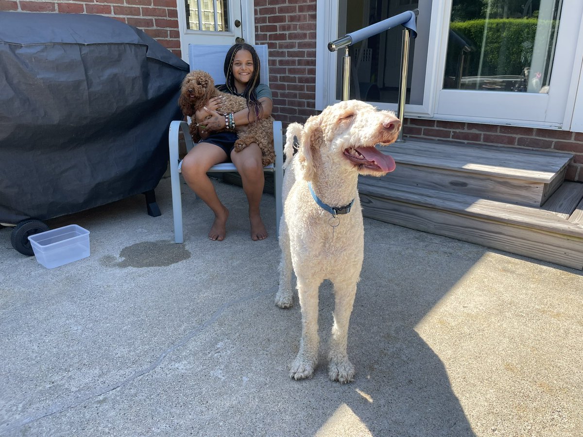 RoenickDoodle's tweet photo. Happy times in the sun ☀️ https://t.co/KDAePhQzLX