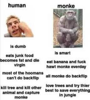 Why #monke you say? Simple…