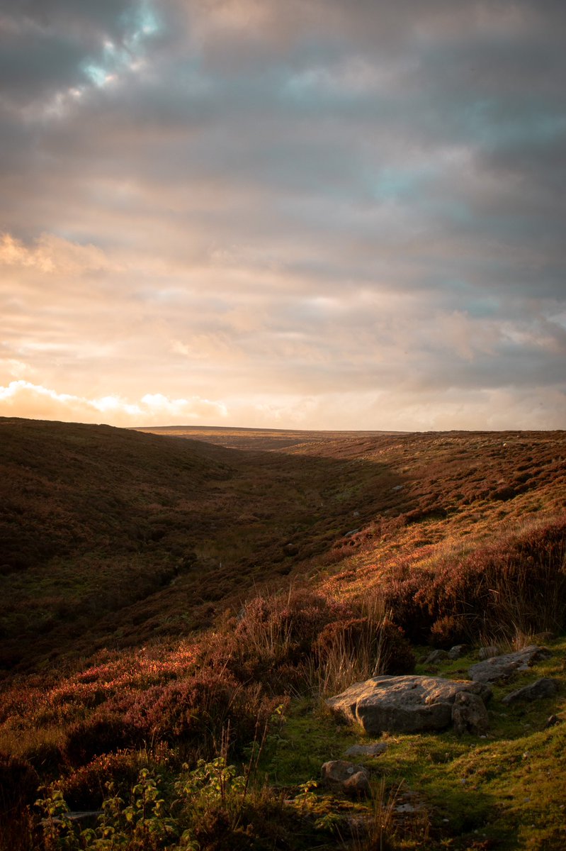 matthewdavidz's tweet photo. North Yorkshire Moors 📸
#photography https://t.co/1XN5kEPpWu