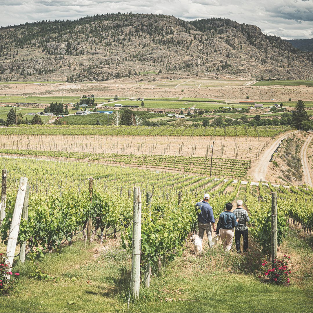 We've got a seat with your name on it .... 7 days a week. Pull up a chair, fill up your glass, and let’s talk about what makes the South Okanagan so great and what is produced from an honest day's work. Reserve Tasting. bit.ly/38nv3Df