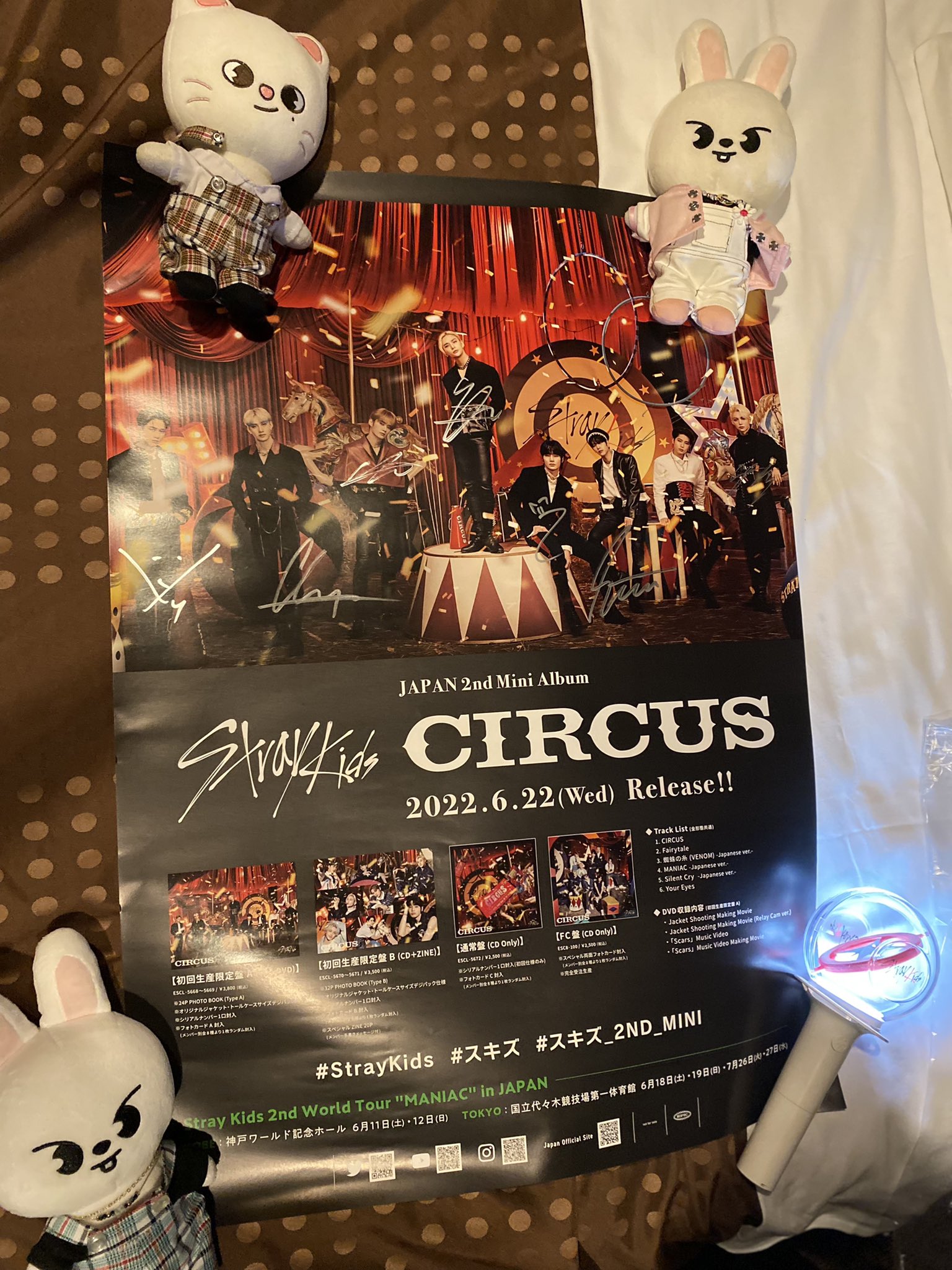スキズ直筆サイン入りポスターMANIAC CIRCUS
